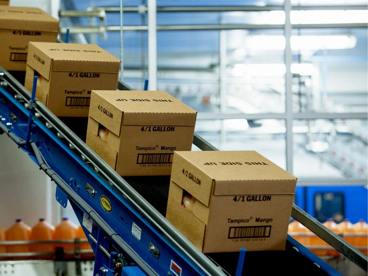 Products moving along a conveyor belt on an automated packaging line